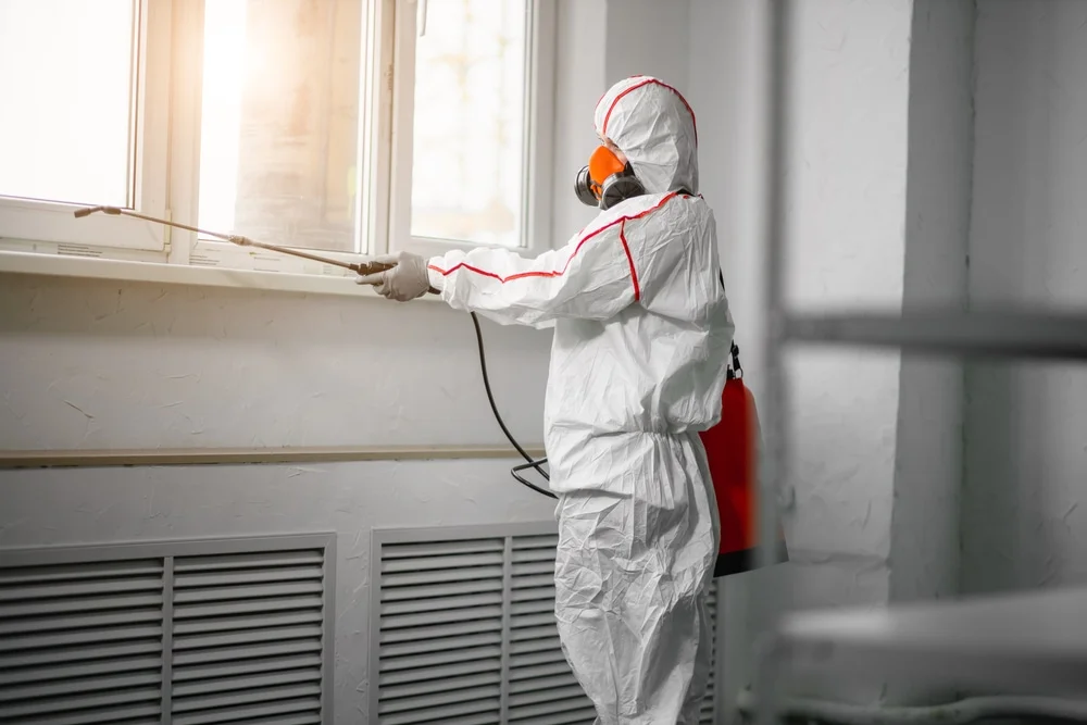 Professional mold remediation services in Lake Orion, MI